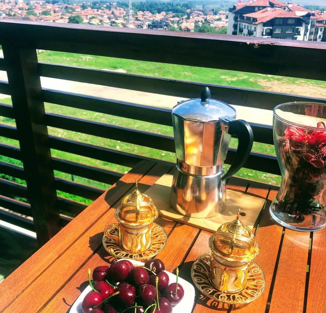 1Br Mountain View In Bansko Apartment 0*,
